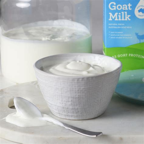 24 hour goat milk yogurt recipe for SCD & GAPS - Luvele AU