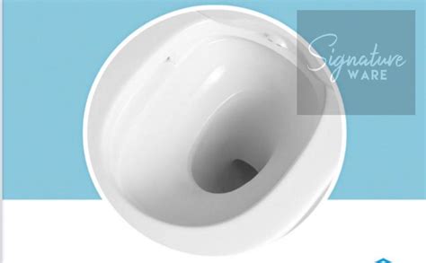 Magnum Wc 935s Gray Turbo Tornado Flush One Piece Toilet Bowl