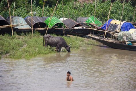 Swimming In The Ganges River Editorial Stock Photo - Image of drinking ...