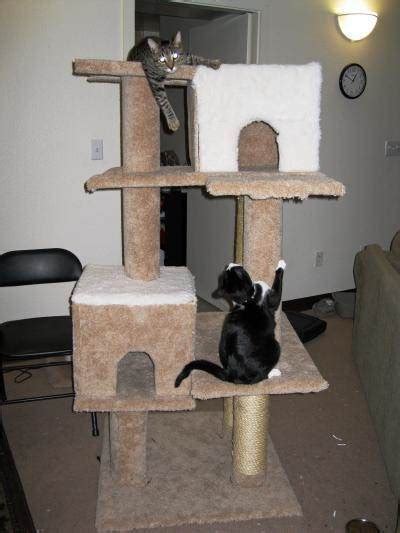 Free DIY Cat Tree Plans