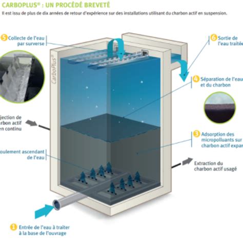 Carboplus Solution Innovante Base De Charbon Actif Pour Liminer