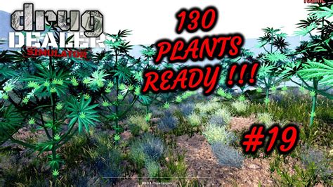 OUT DOOR CROPS READY 19 DRUG DEALER SIMULATOR Uptown Kings Update