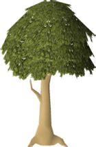 Mahogany tree (Farming) - OSRS Wiki