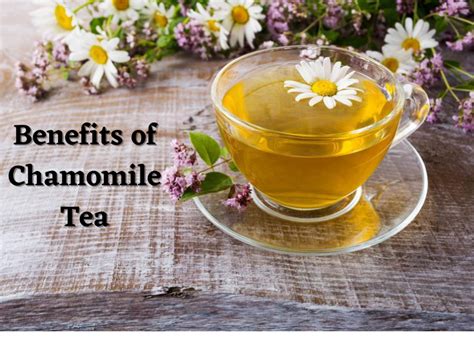 Benefits Of Chamomile Tea For Your Skin Hair And Health