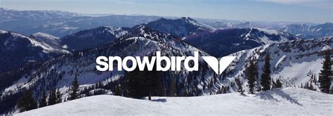 Outside Life Snowbird Ski Trip