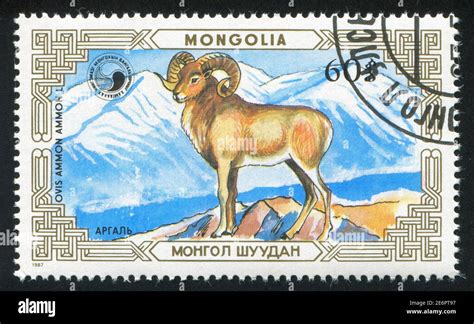 MONGOLIA CIRCA 1987 Stamp Printed By Mongolia Shows Ovis Circa