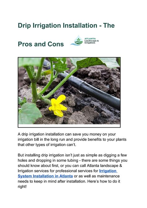 Drip Irrigation Installation The Pros And Cons By Atlanta Irrigation