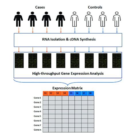 Wrapper Approaches For Feature Selection A Sequential Forward