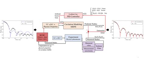 Vlachos Research Group | Data assimilation for modeling cavitation ...