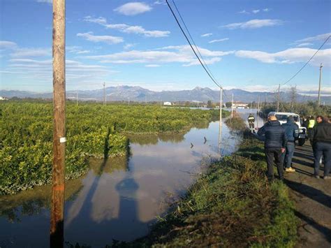 Il Fiume Crati Rompe Gli Argini Allagati Agrumeti Nella Zona Di