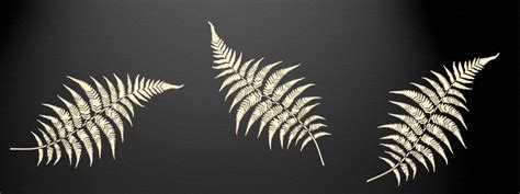 Fern Leaf Stencil » Fern Leaf Wall Stencils » YouStencil.Com | Leaf ...