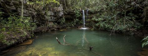 Descubra Os Melhores Destinos De Ecoturismo No Brasil A Blumar