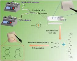 Janus Pan Pvdf Hfp Journal Of Membrane