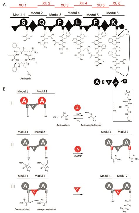 Wirkstoff Forschung Wiley Analytical Science