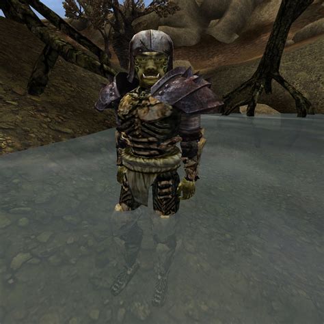 Tamriel Rebuilt Shurlukh The Ogre The Unofficial Elder Scrolls Pages