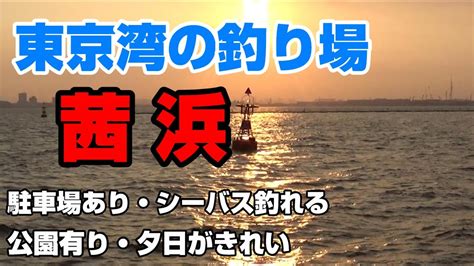 東京湾の釣り場、茜浜、シーバスをきれいな夕日を見ながら釣りができる釣り場、タチウオや青物も釣れる場所。 Youtube