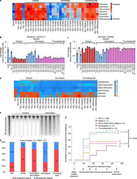 Selection Of P R Q Chemoresistance Phenotype And Its Clinical