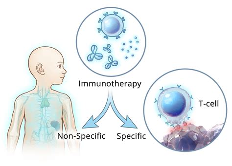 What Is Immunotherapy St Jude The Basics Of Blood