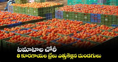 టమాటాల చోరీ 8 కూరగాయల ట్రేలు ఎత్తుకెళ్లిన దుండగులు