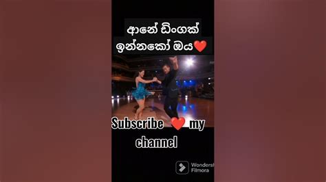 ආනේ ඩිංගක් ඉන්න කෝ ඔය දෑත පොඩ්ඩක්🎶🎶🎵 දෙන්නකො ️ Youtube