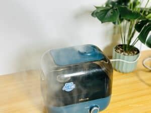 Where To Put Your Humidifier Lets Find The Best Placement Together