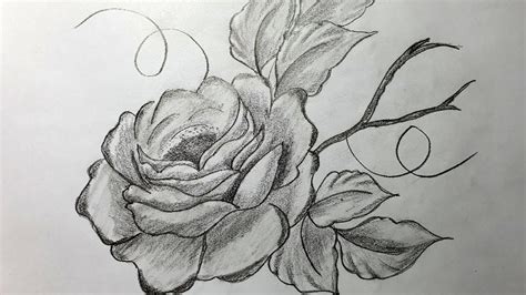 Cách Vẽ Hoa Hồng đẹp và đơn giản bằng bút chì #16 | How to Draw a beautiful Rose with pencil ...