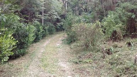 Terreno No Rio Novo Aguas Mornas Mil Metros Escritura