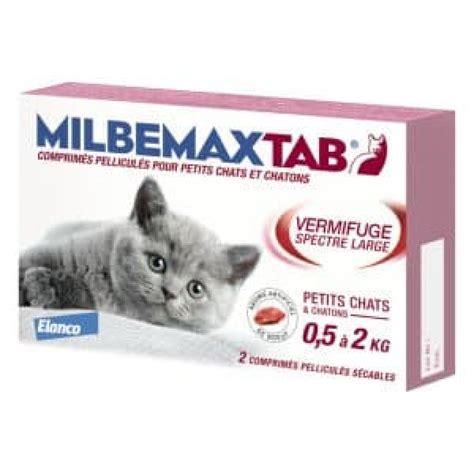 Meilleur Vermifuge Pour Chat Comment Vermifuger Son Chat