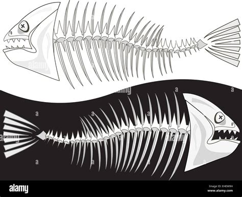 Bones Of A Skeleton Of Fish Stock Photo Alamy