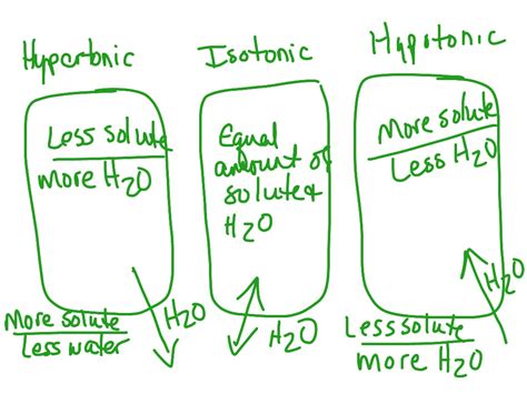 Tonicity And Plant Cells Biology Science Osmosis Tonicity Showme