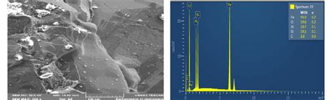 9 The Scanning Electron Microscopy Sem Of The Itakpe Iron Ore At 100µm Download Scientific