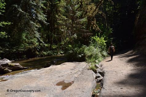 Wolf Creek Falls - Hiking | Southern Oregon - Oregon Discovery