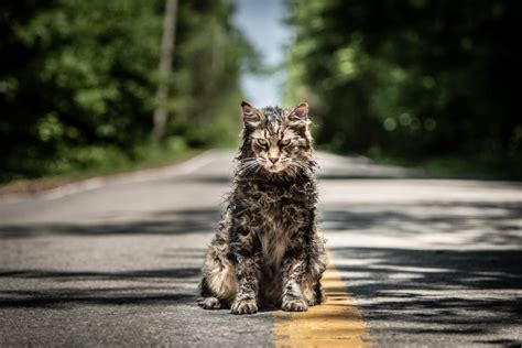 Victor Pascow confirmed to return for Pet Sematary remake - Superficial Gallery