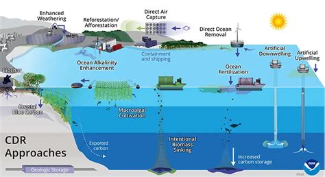 Carbon Dioxide Removal - NOAA Ocean Acidification Program