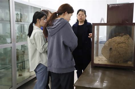 生科院动植物标本馆开展志愿者科普培训 生命科学学院