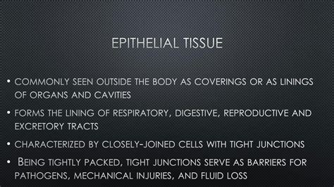 Solution Epithelial Tissue Study Guide Studypool