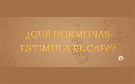 Qu Hormonas Estimula El Caf Un Cafe Diferente