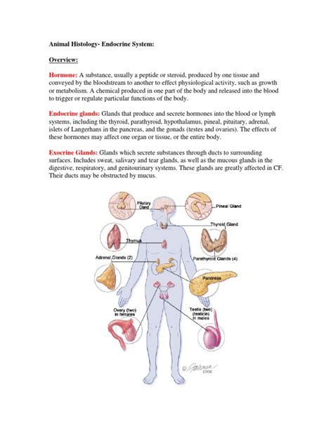 Pdf Animal Histology Endocrine Dokumentips