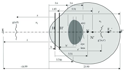 The Simplified Schematic Model Of Gullstrand The Unit Is The