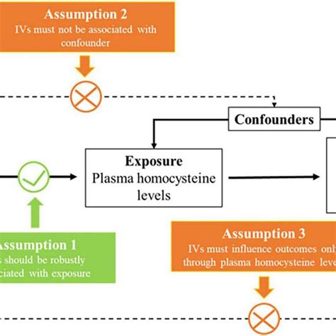 Three Key Assumptions Underlying Mendelian Randomization Study Design