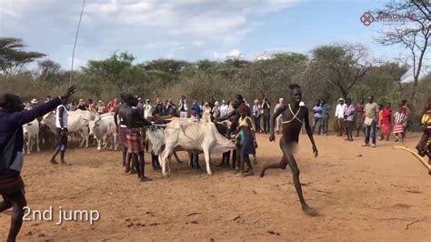 Hamer Tribe Bull Jumping Ceremony Youtube