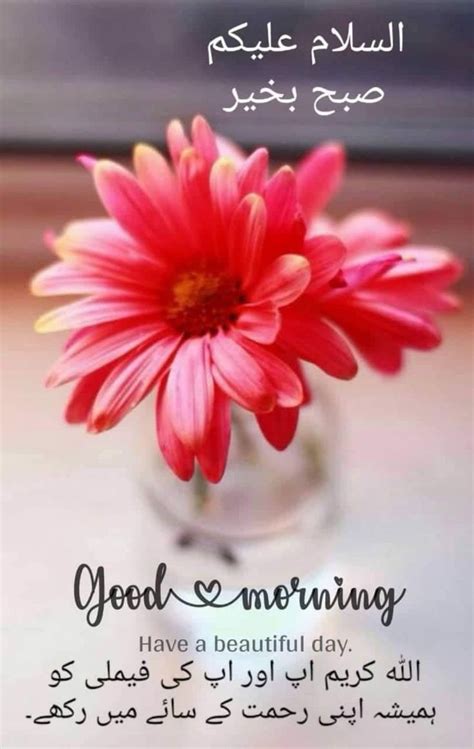 Pin By Zubia Kiran On Subah Bakhair Good Morning Flowers Quotes