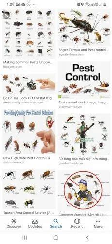 Cockroaches Pest Control Service Cockroach Pest Control Services From