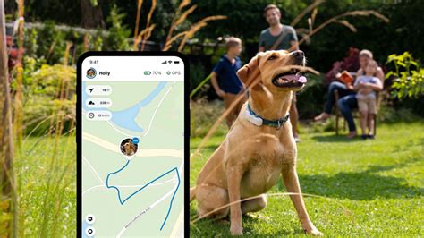 Dog GPS Tracker with Wellness Monitoring | Tractive