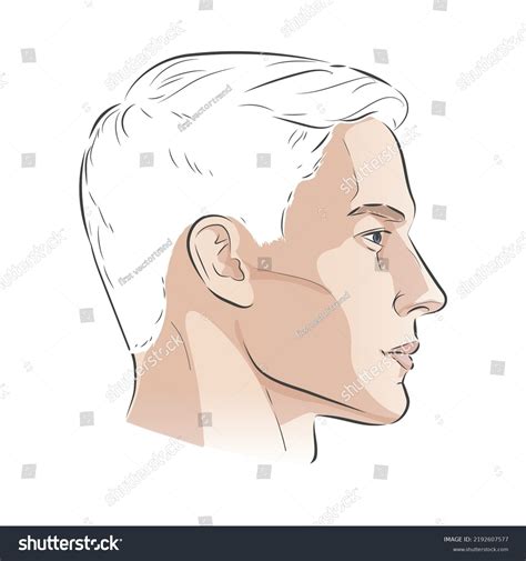 Side Profile Man Face Male Portrait Stock Vector (Royalty Free ...