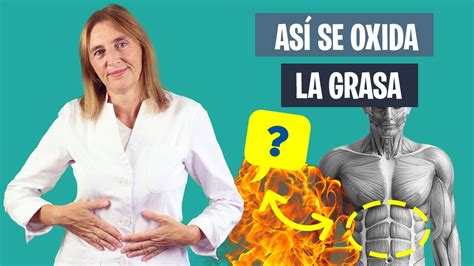 C Mo Se Quema La Grasa Mecanismo De P Rdida De Grasa Corporal