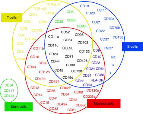 Cd Antigens