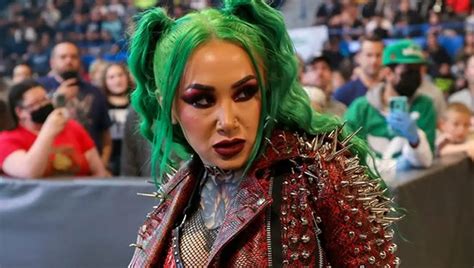 Shotzi Blackheart Husband: A Dynamite Force in WWE - Aitechtonic