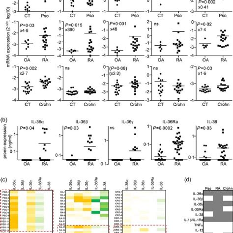 Expression Of Interleukin Il 36 Cytokines In Cultured Cells A Download Scientific Diagram