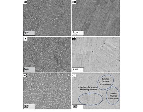 Sem Bse Mode Micrographs Of The As Prepared Alloy A C E And The